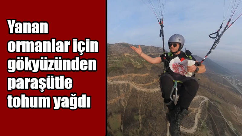 Bursa'nın Gürsu ilçesinde Temmuz ayında yanan yüzlerce hektarlık ormanlık alan