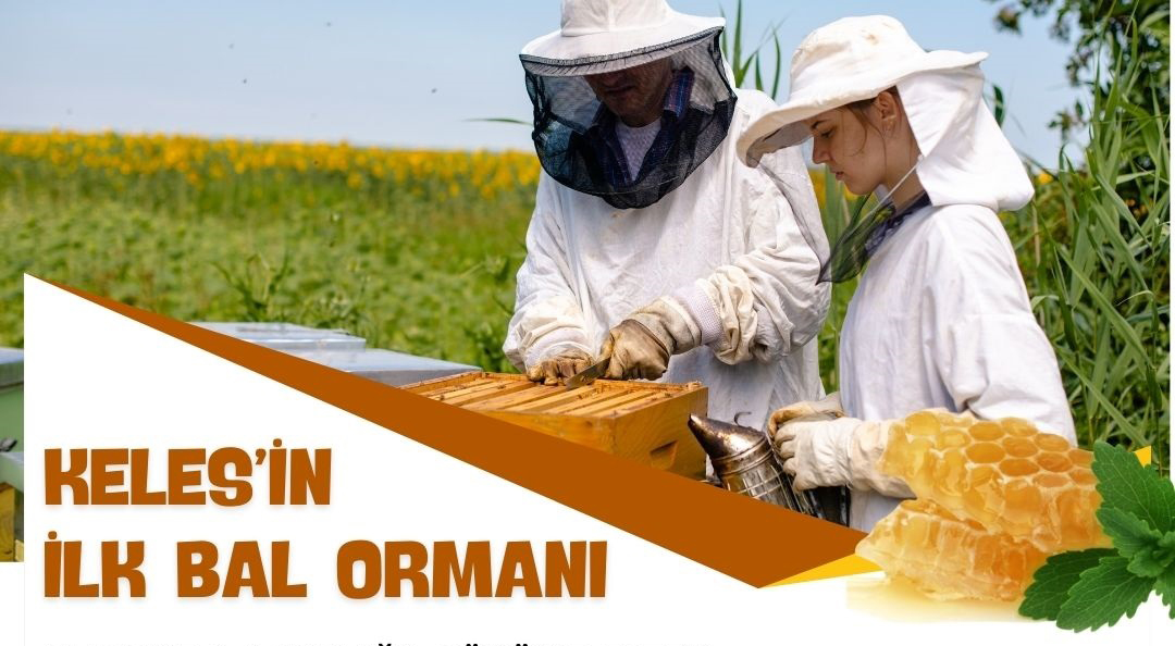 Tarım ve Orman Bakanlığımızın öncülüğünde, Bursa Orman Bölge Müdürlüğü 