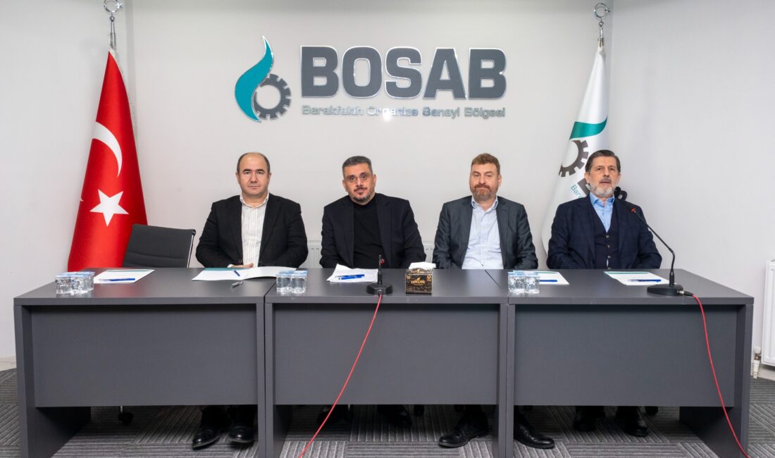 Barakfakih Organize Sanayi Bölgesi (BOSAB), 2025 yılı genel değerlendirme ve