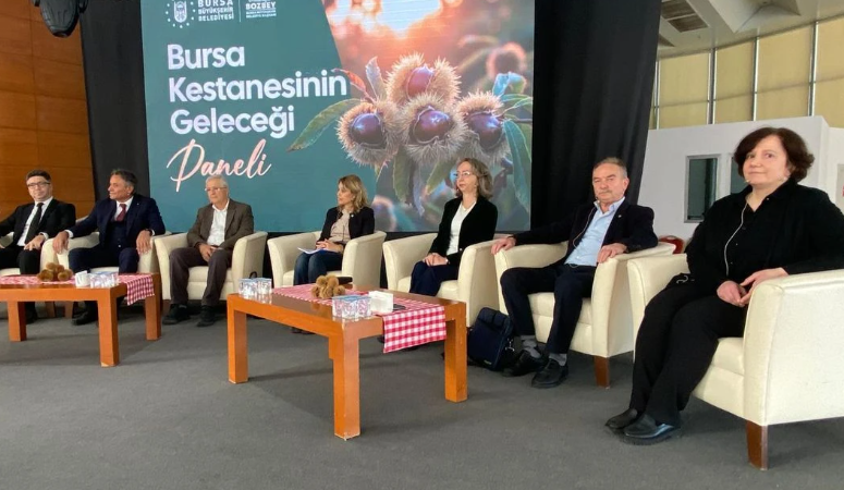 Bursa Büyükşehir Belediyesince düzenlenen Bursa Kestanesinin Geleceği Paneli'nde kestane üretimi,