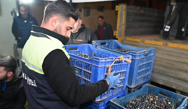 Gemlik Belediyesi, ilçenin en değerli markası olan Gemlik zeytinine hak