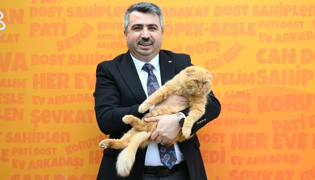 Yıldırım Belediyesi, havaların soğuması ile birlikte sokak hayvanlarına yönelik çalışmalarını