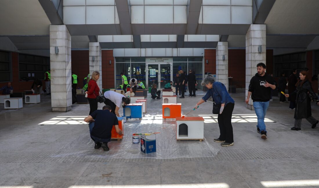  Bursa Büyükşehir Belediyesi, 17 Şubat Dünya Kediler Günü kapsamında