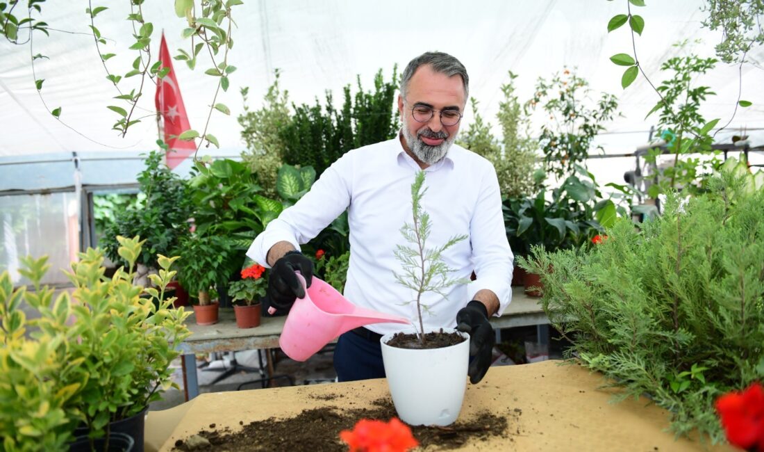 Kestel Belediyesi, ilçede faaliyet gösteren süs bitkileri üreticilerine yönelik destek