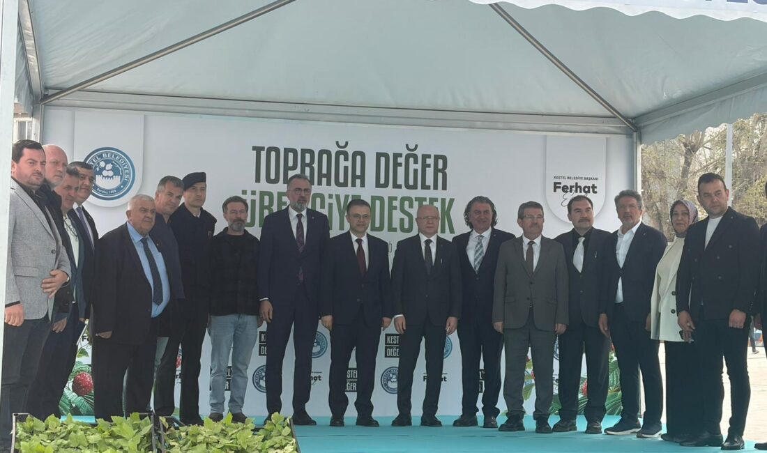 Kestel Belediyesi tarafından yürütülen proje kapsamında üreticilere 6 bin adet
