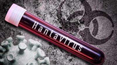 Sağlık Bakanlığı, hantavirüs vakalarına ilişkin sürecin bilimsel esaslar doğrultusunda titizlikle