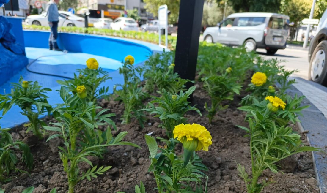 Gemlik Belediyesi, kent genelinde sürdürdüğü çevre düzenleme ve estetik çalışmalarına
