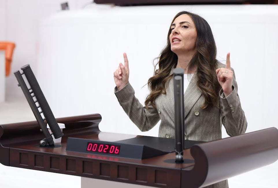 CHP Genel Başkan Yardımcısı Nurhayat Altaca Kayışoğlu, TBMM Genel Kurulu’nda