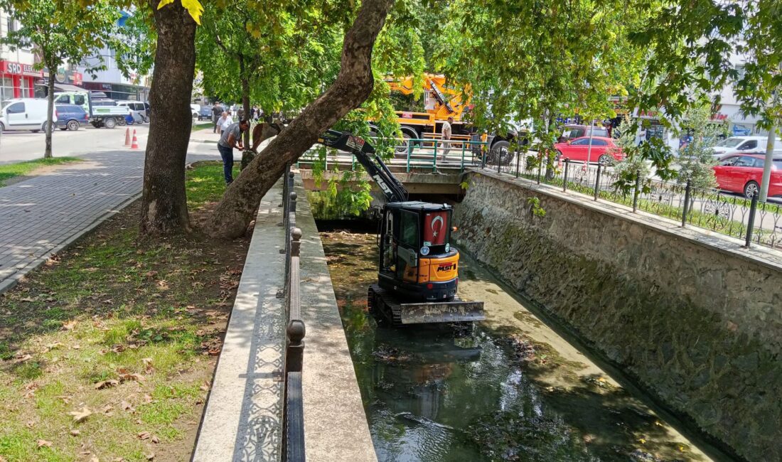 Gemlik ilçe merkezinden geçen Çarşı Deresi'nde temizlik çalışmaları başladı. Bursa